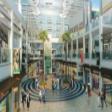 Pre Leased Commercial Office Space Available For Sale In Gurgaon  Commercial Office space Sale Golf Course Extension Road Gurgaon